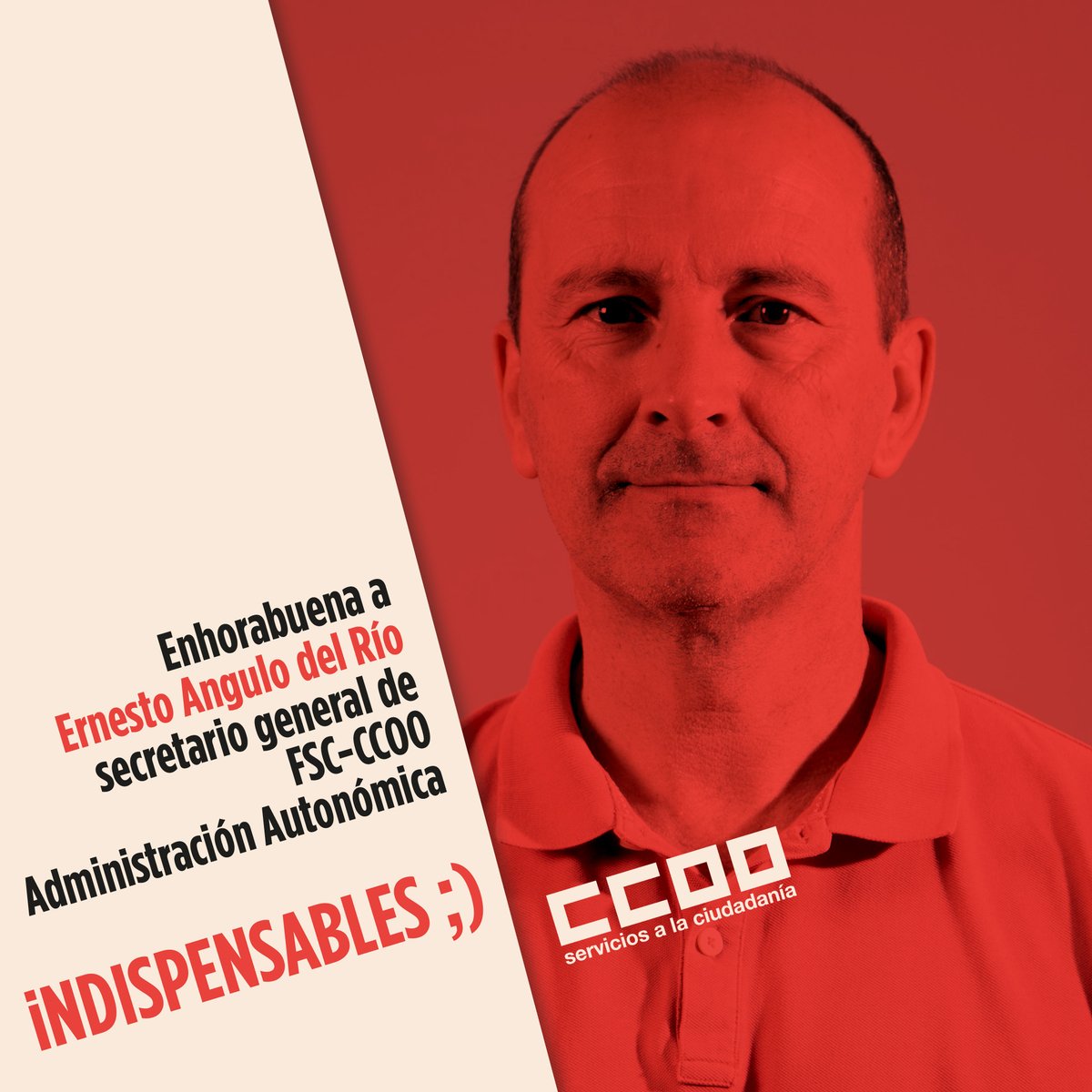 🗳️ Felicitamos a Ernesto Angulo del Río, elegido secretario general de FSC-CCOO Administración Autonómica.

✊ Le deseamos fuerza en su labor al frente de nuestra organización en este sector.