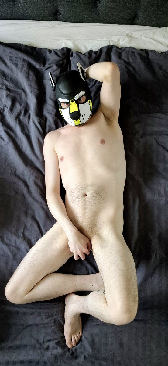 PuP Andy 🔜 💦🐾🚦⛓️ 🔜 👀 tweet media