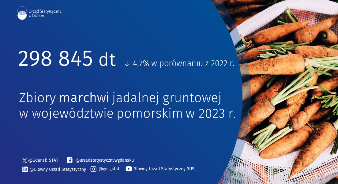 Gdansk_STAT's tweet image. Dzisiaj pijemy sok i jemy ciasto marchewkowe. Może być też marchewka na surowo, ponieważ jest Dzień Marchewki🥕🥕🥕
W 2023 r. w #pomorskie #marchew jadalną gruntową uprawiano na powierzchni 778 ha. 
Sprawdź pozostałe dane: bdl.stat.gov.pl/bdl/start