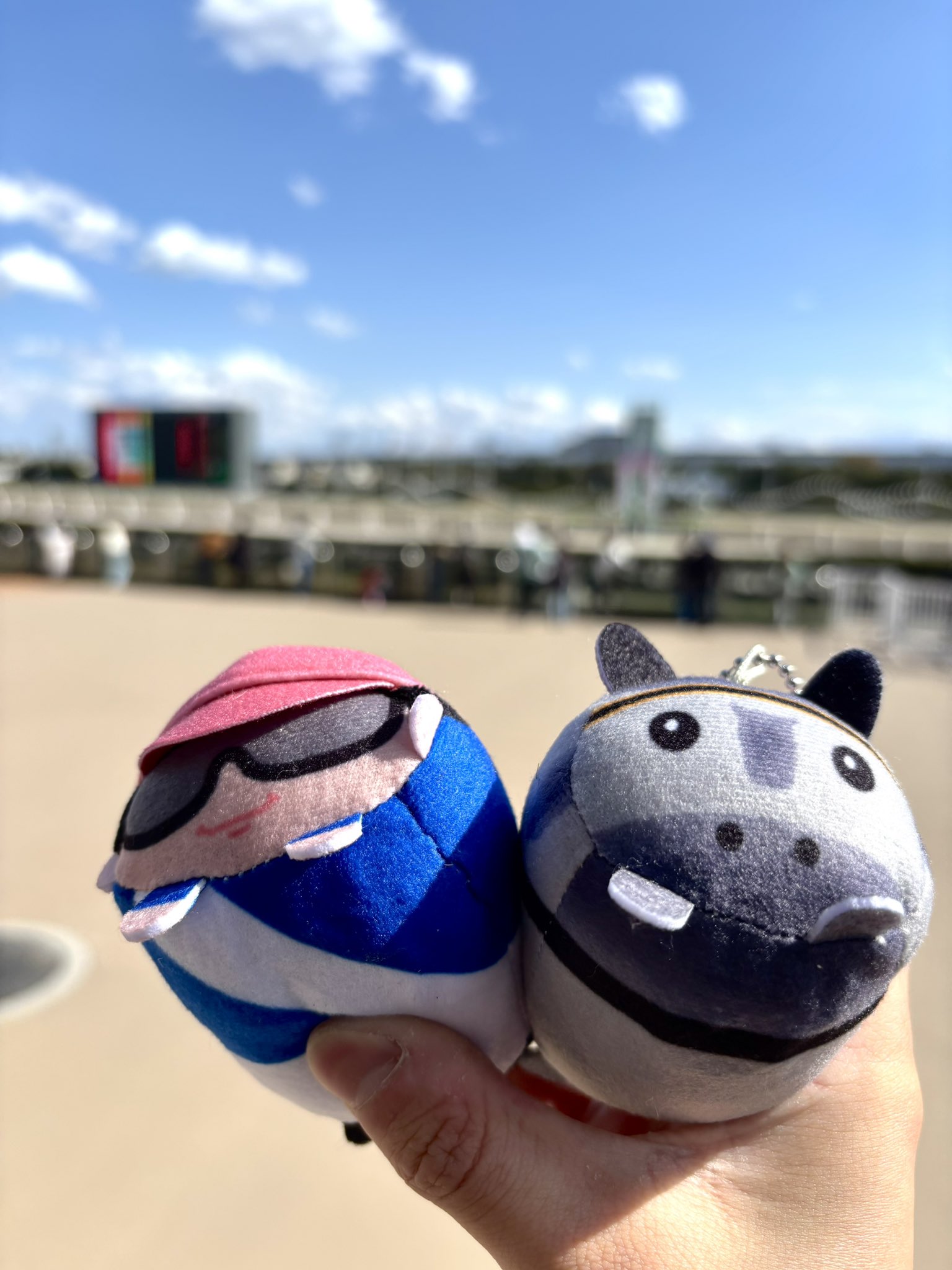 川島正太郎騎手/船橋競馬場限定 | コロコロケイバぬいぐるみ