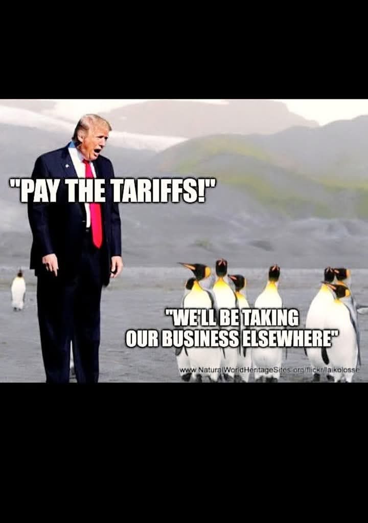 Steve (@elysiansteve) on Twitter photo 