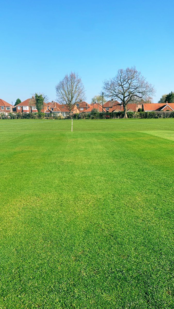 Osbaldwick C.C. tweet media