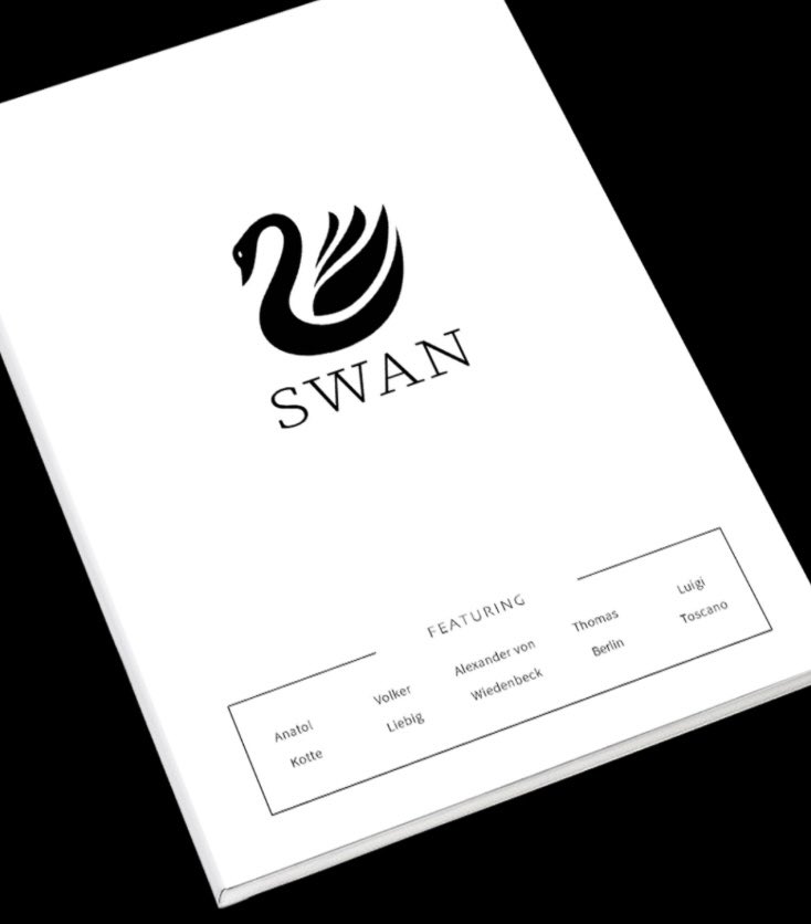 The renowned SWAN Fine Art Magazine published an interview with me and excerpts from my portfolio in its new issue 22 in April 2025. —&gt; swan-magazine.com #peoplephotography