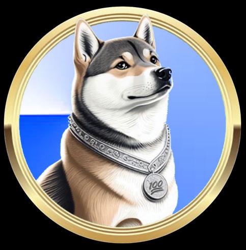 BasedOHMI 💯 - The One Hundred Million Inu tweet media