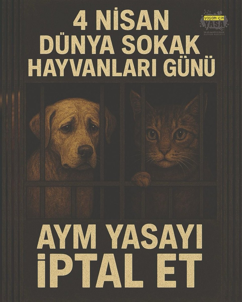 4 Nisan, Sokakta Yaşayan Hayvanlar Günü’nde, bir kez daha haykırıyoruz,özgür olmaları gereken dostlarımız,barınak hücrelerinde ölüyor.Bu düzeni kabul etmiyoruz!Yasa,korumuyor,öldürüyor.
KısırlaştırAşılatYerinde Yaşat ilkesine geri dönülmeli katliam politikalarına son verilmelidir