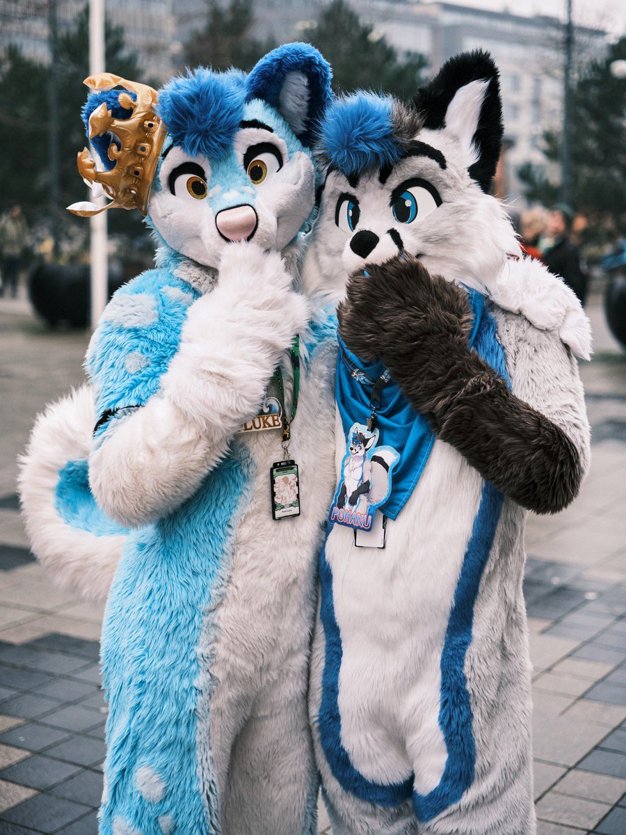 Shocking that 📸 <a href="/BrandyTheWuff/">🐾 Brandy 🐾 🔜 NFC</a> almost also heard <a href="/FlukeHusky/">Fluke Husky 🤍</a>’s secret moves! #FursuitFriday