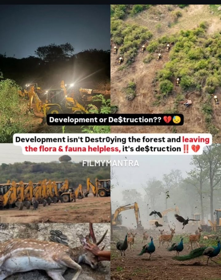 No one is greedier than humans😥