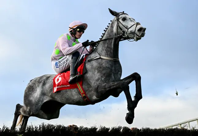 Animal Adoptions UK 🐕‍🦺🐈🐎❤️ tweet media