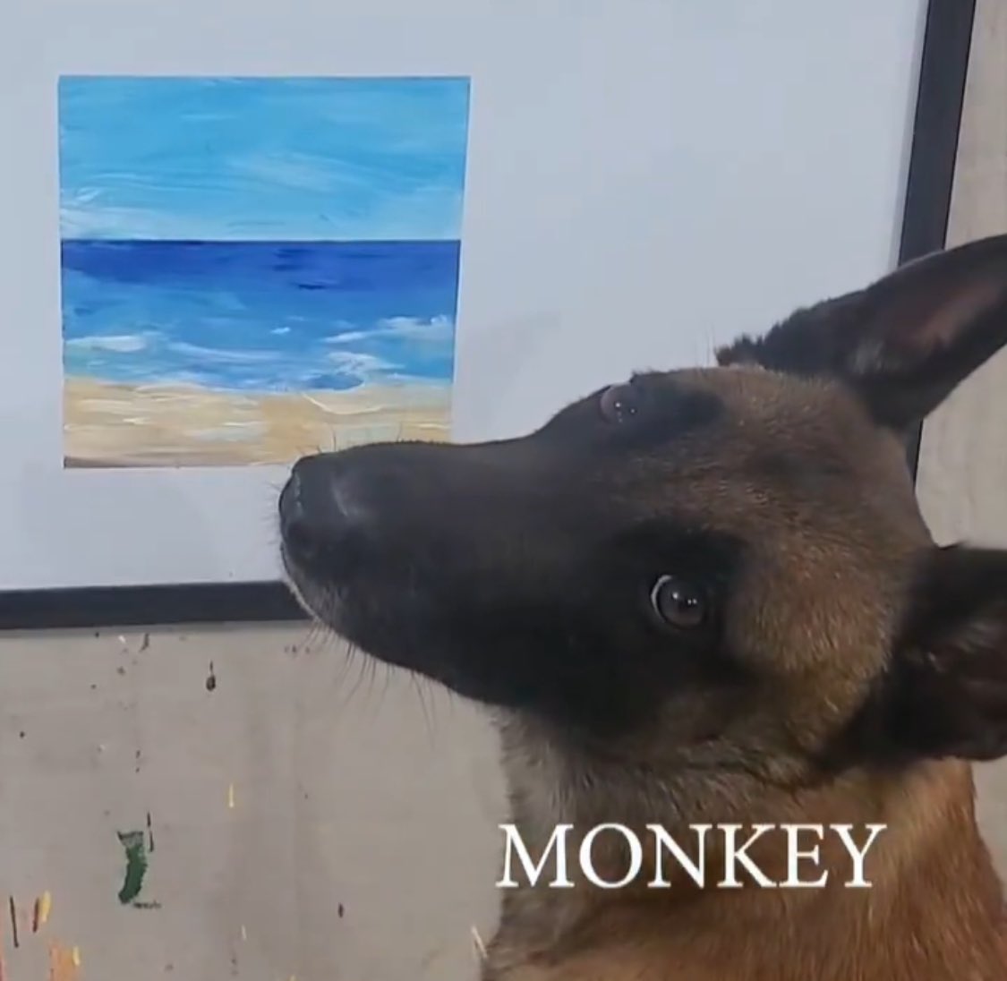 M0nkeymusk's tweet photo. @ieatjeets Monkeycoin 🐕

Dog keeps painting 🎨 https://t.co/e0n7PhUmXK