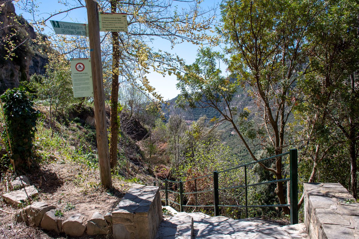 🥾Saps que pots arribar a #SantMiqueldelFai a peu?
✅Sender de Riells del Fai
✅PR-C 227 Sender de Bigues i Riells del Fai
✅GR-5
✅Des del Molí de Llobateres
ℹ️parcs.diba.cat/ca/web/cingles…