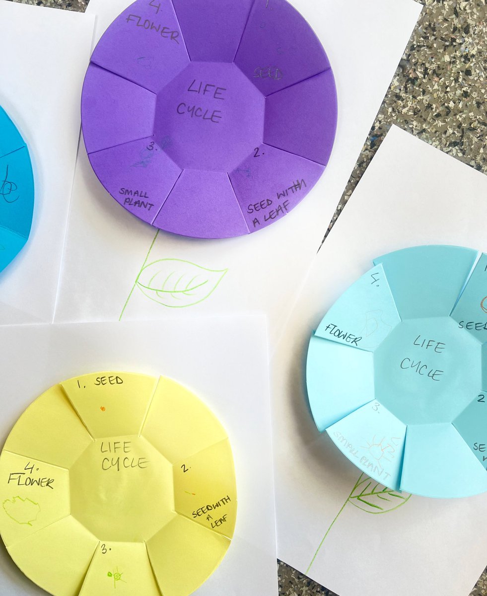 This week, we planted cress seeds ! 
🍃✨
Watching them sprout and reach for the sky reminded us how beautiful growth can be, no matter how small or quiet it starts.

#LittleUptonHolidaySchool