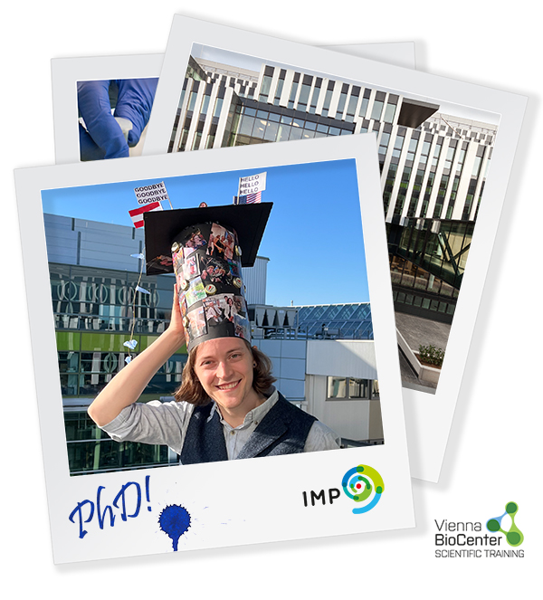Vienna BioCenter Scientific Training (@trainingvbc) on Twitter photo Congrats to Robert Kalis PhD (Zuber Group), who recently defended his thesis: "Turning sour into power: Acidosis orchestrates adaptations of energy metabolism in tumor". Well done Robert! 🥂🍾 <a href="/univienna/">Universität Wien</a> <a href="/IMPvienna/">IMP</a> <a href="/MaxPerutzLabs/">Max Perutz Labs Vienna</a> Congrats to Robert Kalis PhD (Zuber Group), who recently defended his thesis: "Turning sour into power: Acidosis orchestrates adaptations of energy metabolism in tumor". Well done Robert! 🥂🍾 <a href="/univienna/">Universität Wien</a> <a href="/IMPvienna/">IMP</a> <a href="/MaxPerutzLabs/">Max Perutz Labs Vienna</a>