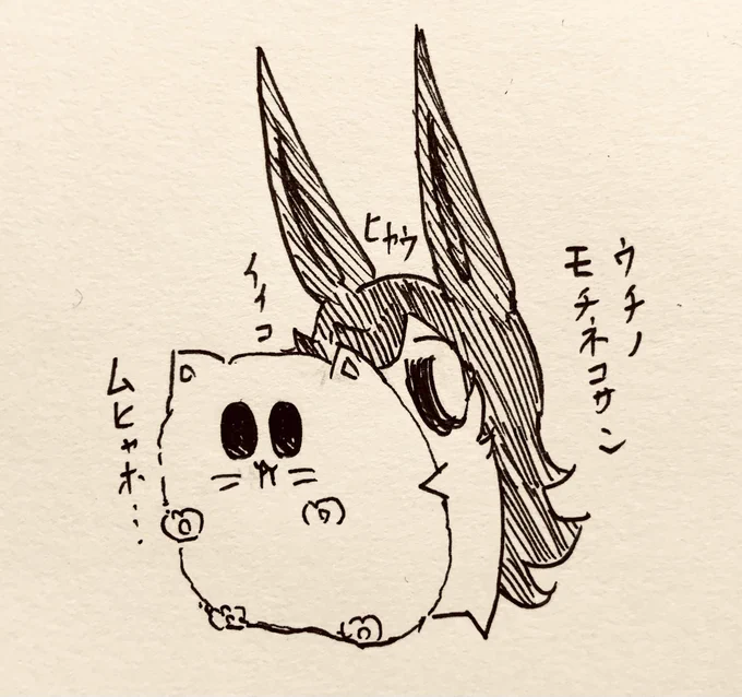 飼ってるもち猫さん見せてくれる半ライス🍚🐱 