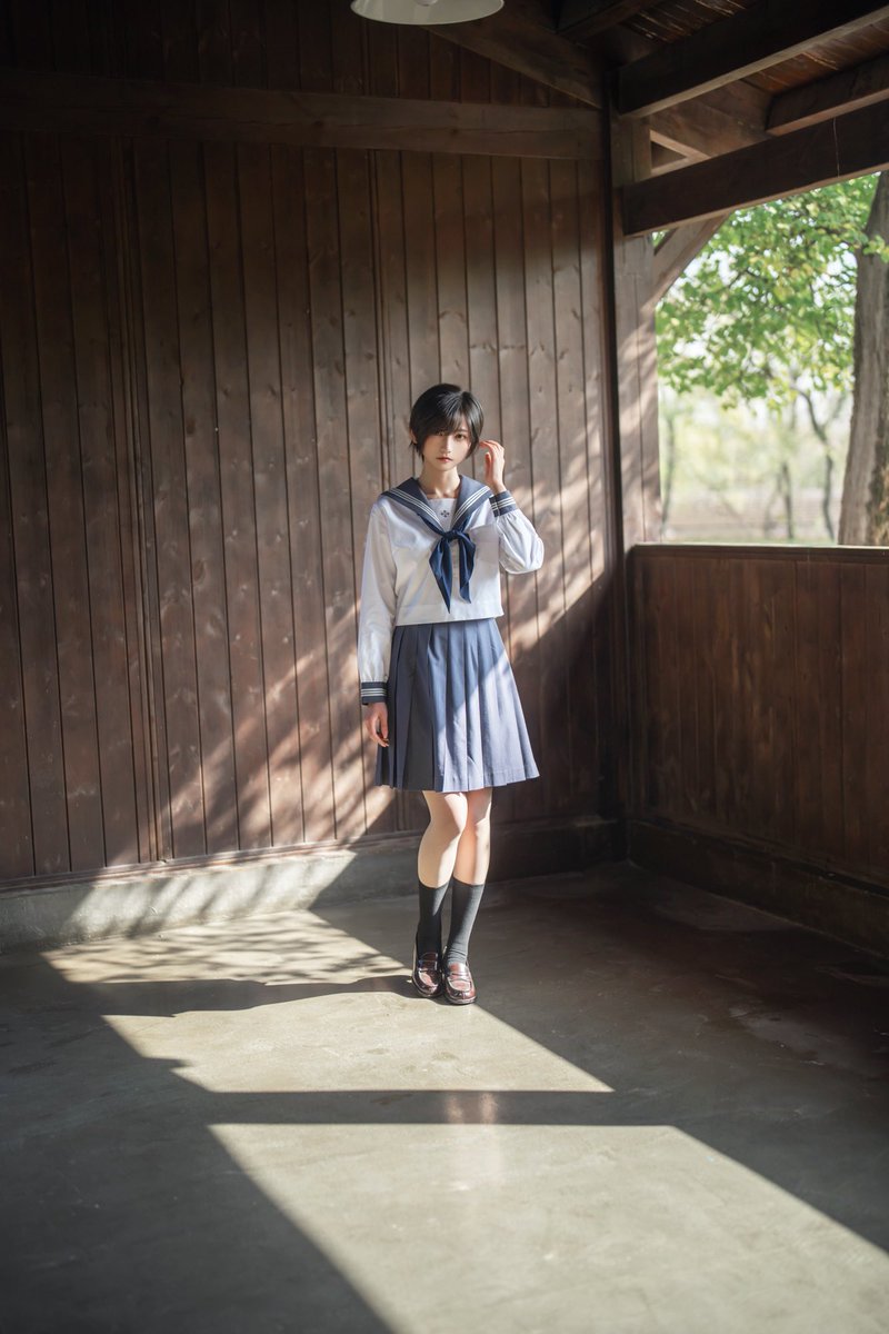 komoshuai's tweet image. 陽だまり🐱