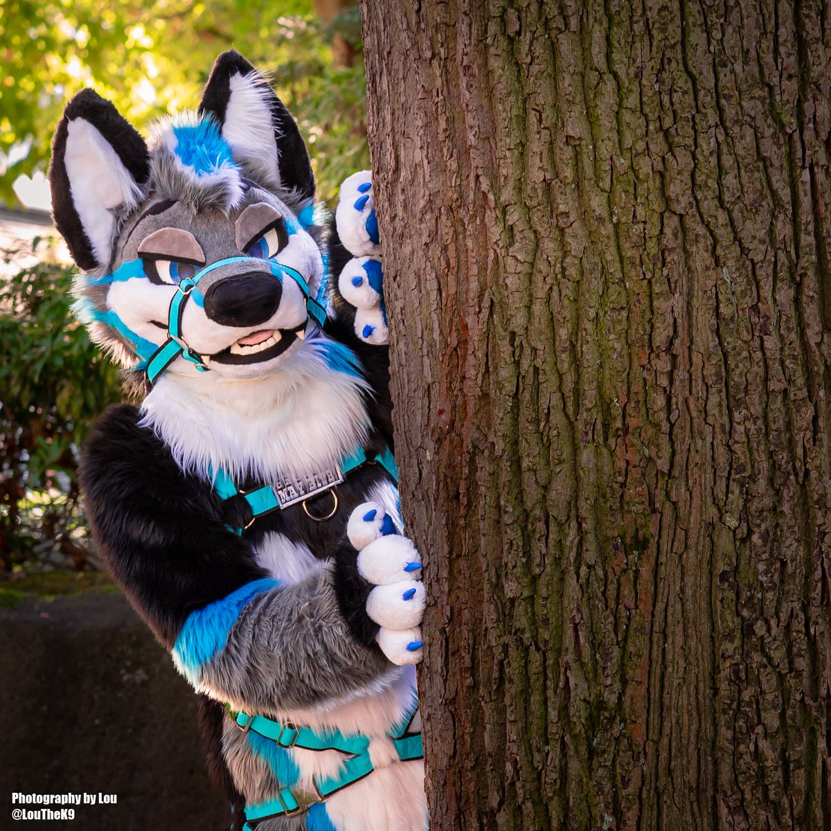 Sneaking up on the weekend this #FursuitFriday 

📸: <a href="/LouTheK9/">💚Lou🤎</a>