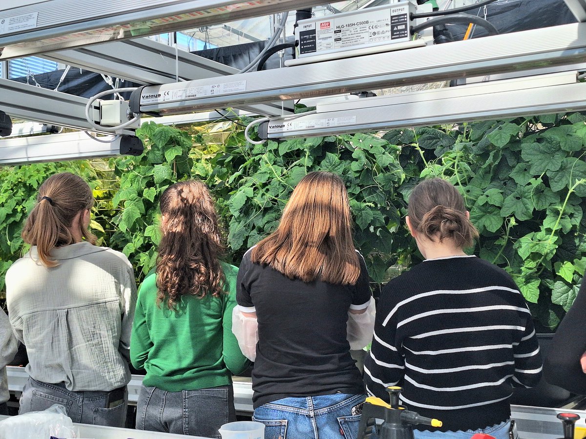 DrPChronicles's tweet image. This week, we had the privilege of hosting 10th graders for Girls' Day. We had a lot of fun talking to them about plant genomics, and working with African plants and scientists.
They had a lot of fun getting a feel and taste of our horned melon, and asking insightful questions!