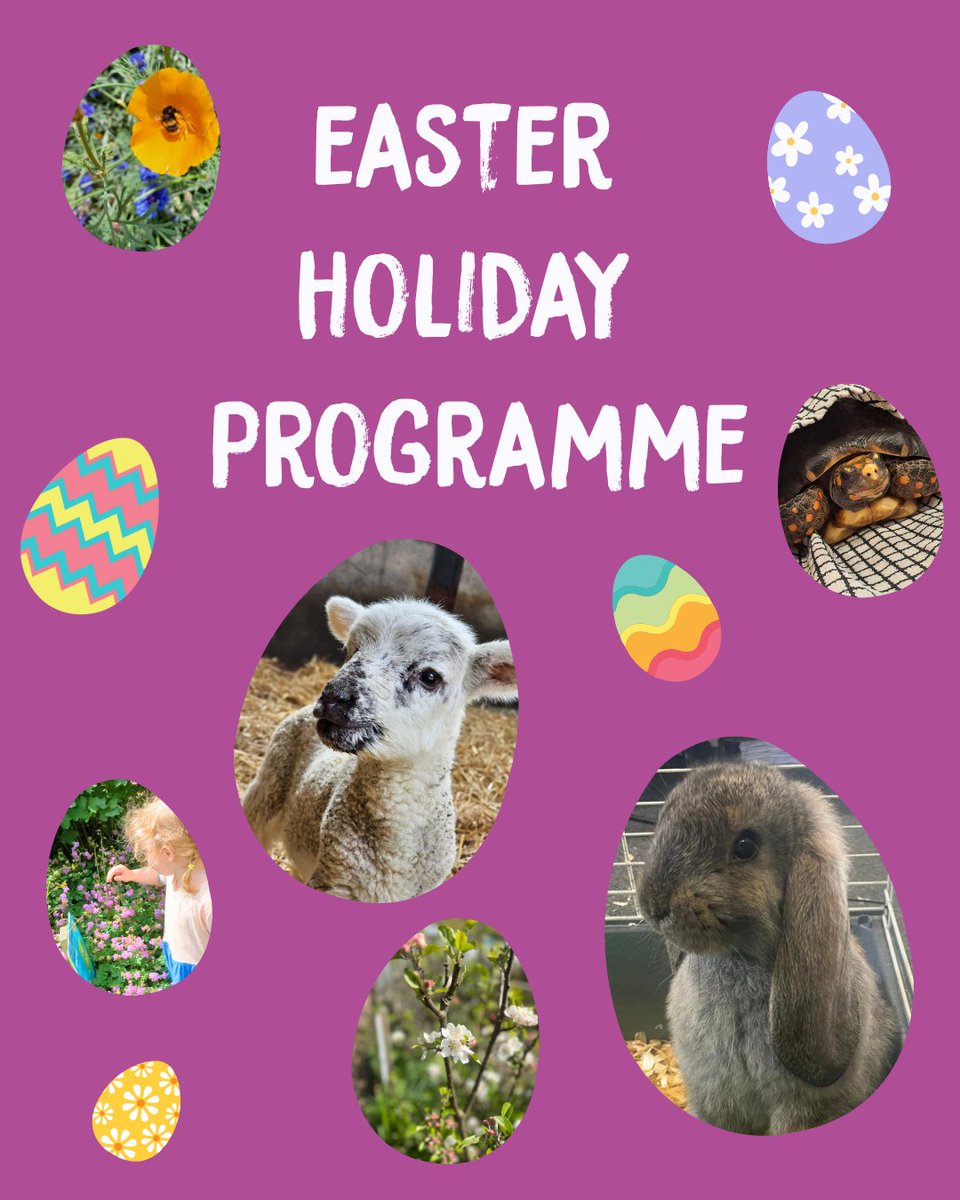 Spring has sprung at the farm and it's not long until the Easter Holidays! 🐣 See what's on, including 🐑Lamb Feeding,🐰Small Animal Care Workshop, 
🐢Tortoise Spa Day, 🌎️Earth Day Pollinator Event, 🍕Build Your Own Pizza
🌸Free Blossom Events: tickettailor.com/events/ousebur…
