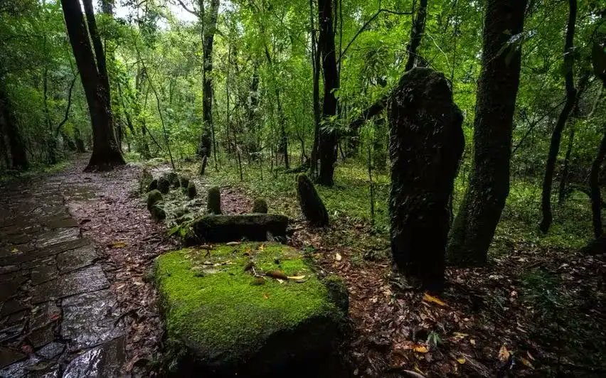 pargaien's tweet photo. #SACRED GROOVES: A testimony of the beautiful relationship between nature and people and the tradition that ensured their #sanctity by treating these areas as #sacrosanct even at that time when we were having huge tracts of forests and not much anthropogenic pressure. #Ecologically, #spiritually and #anthropologically, their importance is now paramount and proactive actions are needed for their #protection and #conservation from all quarters.
By what name are they known in your state?
#sacredgrooves #NatureBeauty #forest #environment