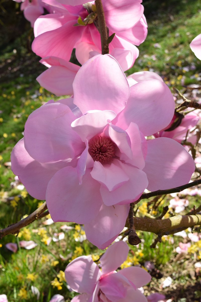 Simon Gibson tweet media