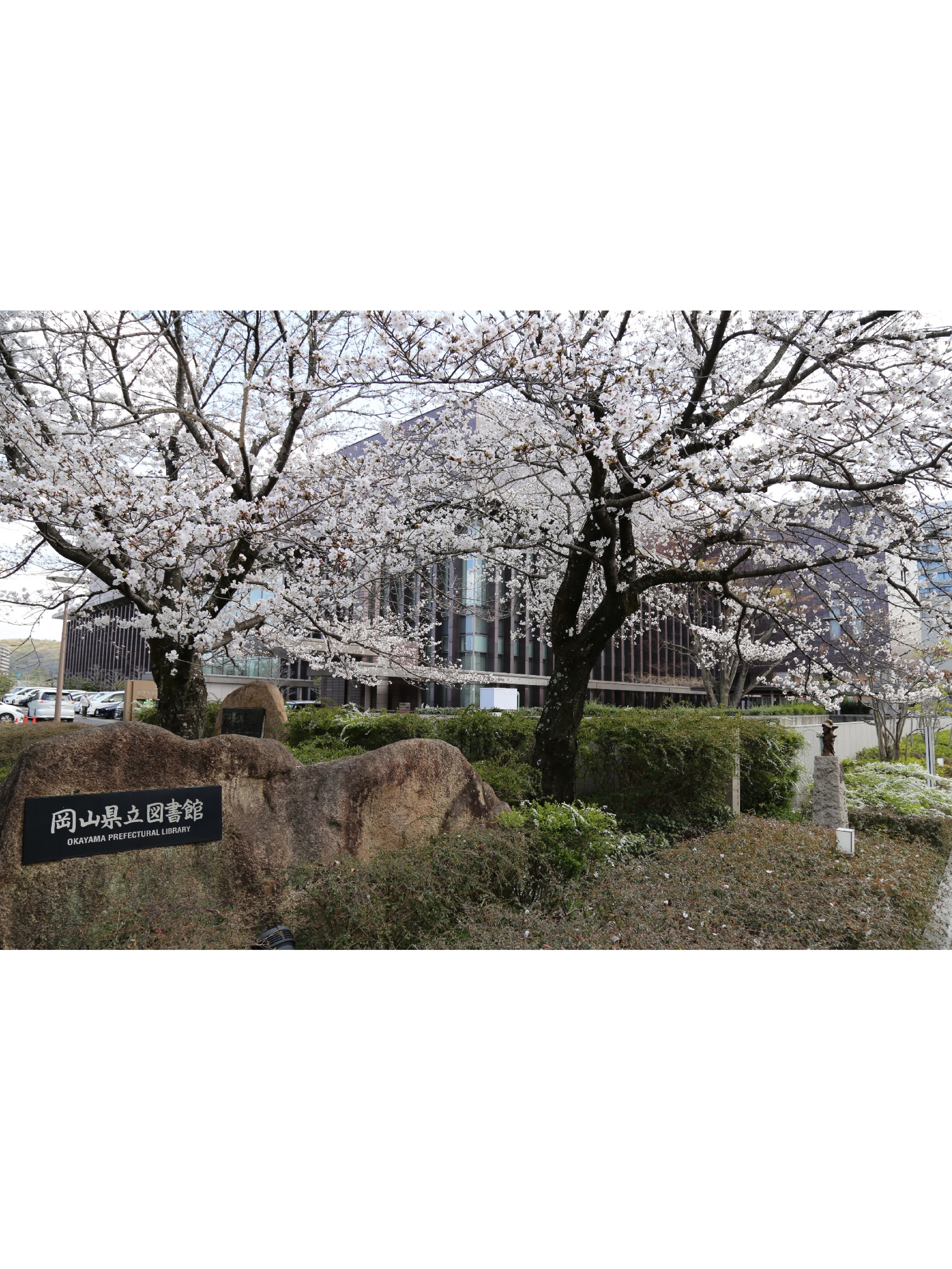 岡山県立図書館 on X: 岡山県立図書館 on X: