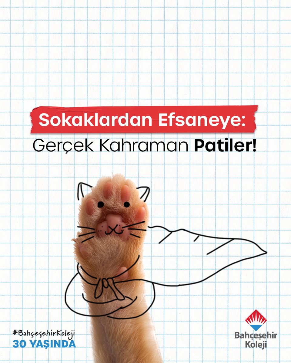 bahcesehir_k12's tweet photo. Bugün, sokaklardaki görünmez kahramanları fark etme günü! 🐾

Mahallenizdeki tüylü dostlarınıza bir iyilik yapın. Bir patili kahramanın yeni hikâyesi sizinle başlayabilir! 💙 #SıraSende

#BahçeşehirKoleji https://t.co/YPTtsqNIFJ