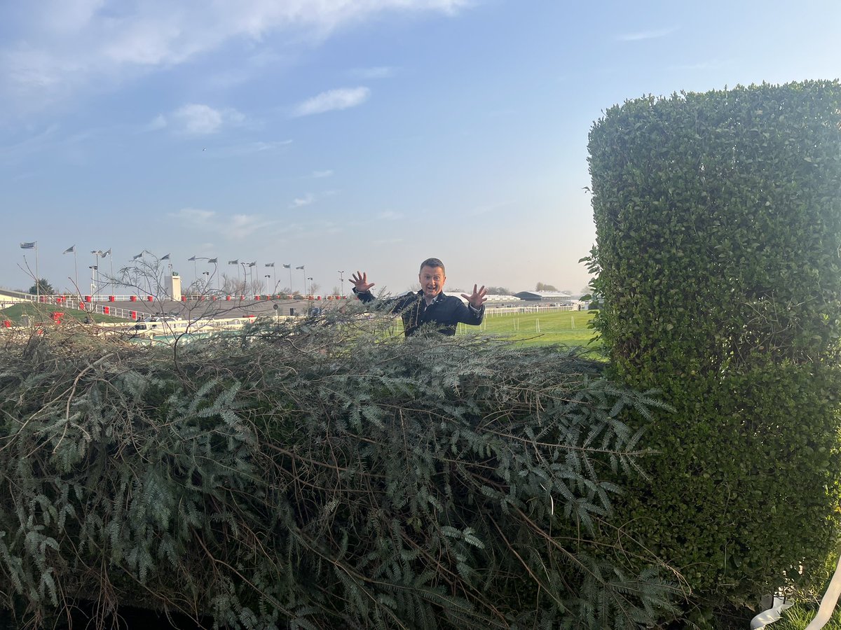 Mike Bushell tweet media