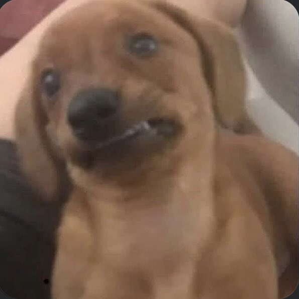 Adoro dormir en la misma cama con mi niño… Pero hace calorrr y me urge una cuna, cada vez duermo más chueca con el contorsionista
Ni modo, toca esperar si quiero la Cuna Micheline 4 en 1 de $13,000 cuando no me alcanza ni para la de $500 JAJAJAJA
Yo viendo el precio d las cunas: