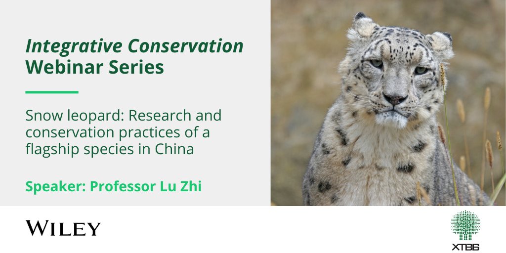 Wiley Ecology & Evolution (@wileyecolevol) on Twitter photo Discover first hand learnings from 16 years of snow leopard research and #conservation practice in China.
Watch the recording of our latest <a href="/IntCon/">Integrative Conservation</a> webinar, where Professor Lu Zhi her experience in working with this enigmatic species.
📹: ow.ly/KY5o50VrKQR Discover first hand learnings from 16 years of snow leopard research and #conservation practice in China.
Watch the recording of our latest <a href="/IntCon/">Integrative Conservation</a> webinar, where Professor Lu Zhi her experience in working with this enigmatic species.
📹: ow.ly/KY5o50VrKQR