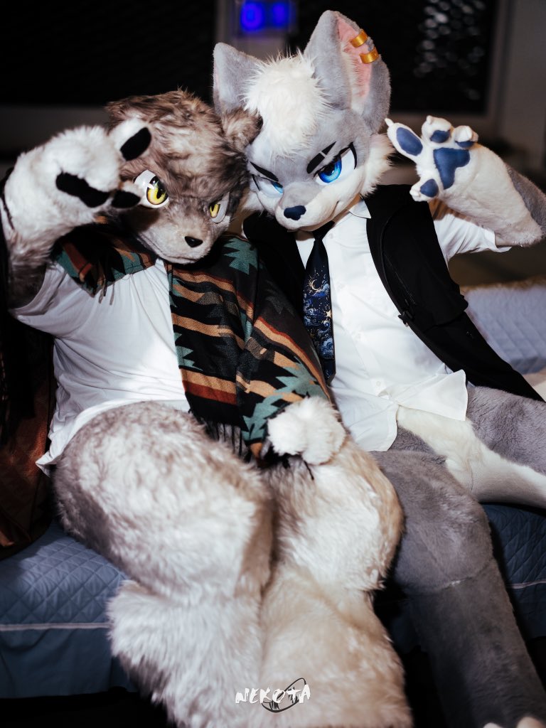 "Look at the camera"
🩵🩵🐺🧡🧡

📸：<a href="/hinekota/">ネコタ@NEKOTA➡HiFurry</a> 
 #FursuitFriday