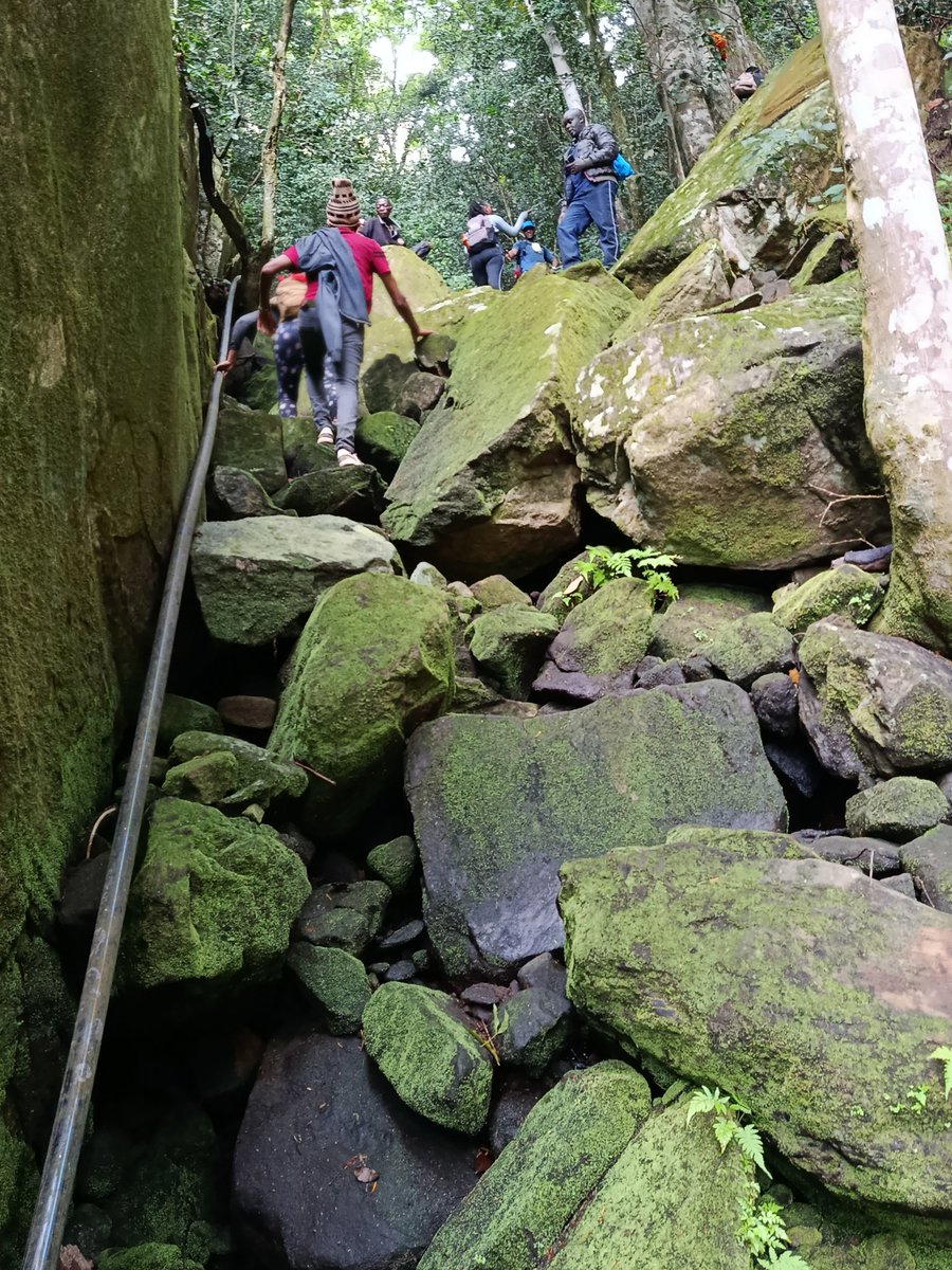 thedustyfellow's tweet image. Nature's beauty knows no bounds. From the soaring heights of Mount Kenya, to the sweeping savannahs, every step is a discovery."
