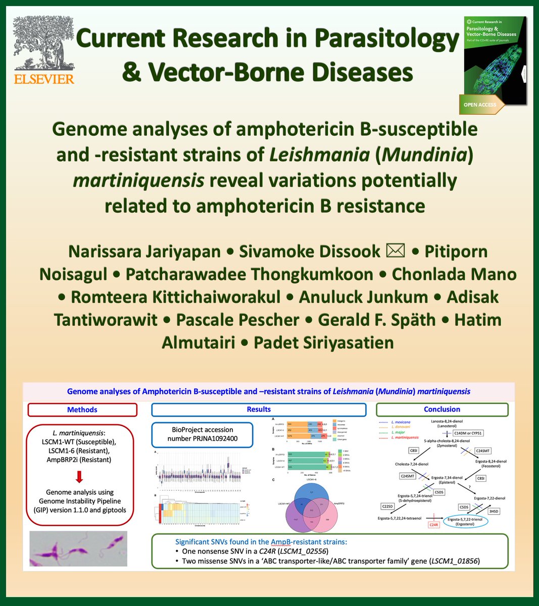 Aneta Kostadinova (@anetkostadinova) on Twitter photo NEW in Current Research in Parasitology & Vector-Borne Diseases @CRPVBD
#OpenAccess
▶️sciencedirect.com/science/articl…
<a href="/Sivamoke/">Sivamoke Dissook</a>
📌 Genome analysis of AmpB-susceptible and AmpB-resistant L. martiniquensis strains revealed variations.
📌 Gene copy number variations and aneuploidy were NEW in Current Research in Parasitology & Vector-Borne Diseases @CRPVBD
#OpenAccess
▶️sciencedirect.com/science/articl…
<a href="/Sivamoke/">Sivamoke Dissook</a>
📌 Genome analysis of AmpB-susceptible and AmpB-resistant L. martiniquensis strains revealed variations.
📌 Gene copy number variations and aneuploidy were