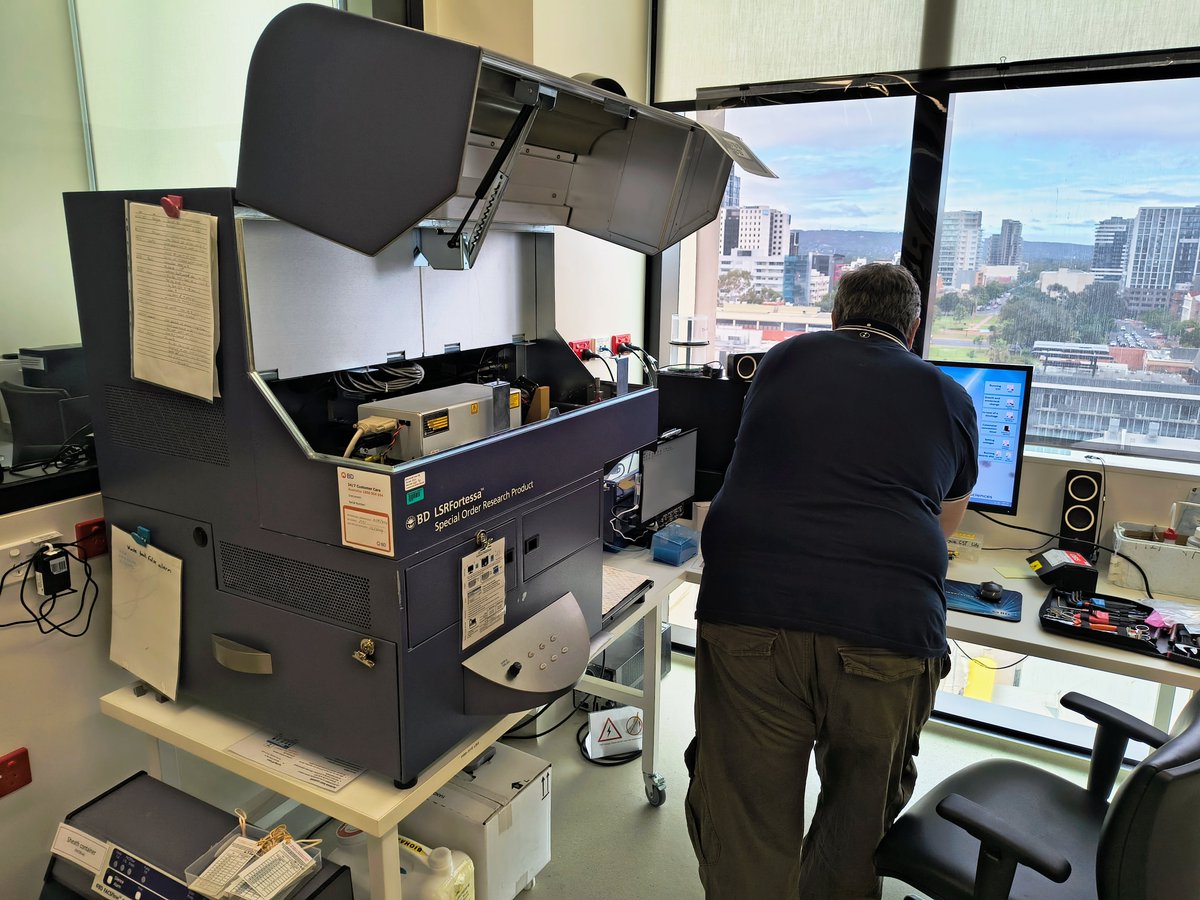 CCB Flow tweet media