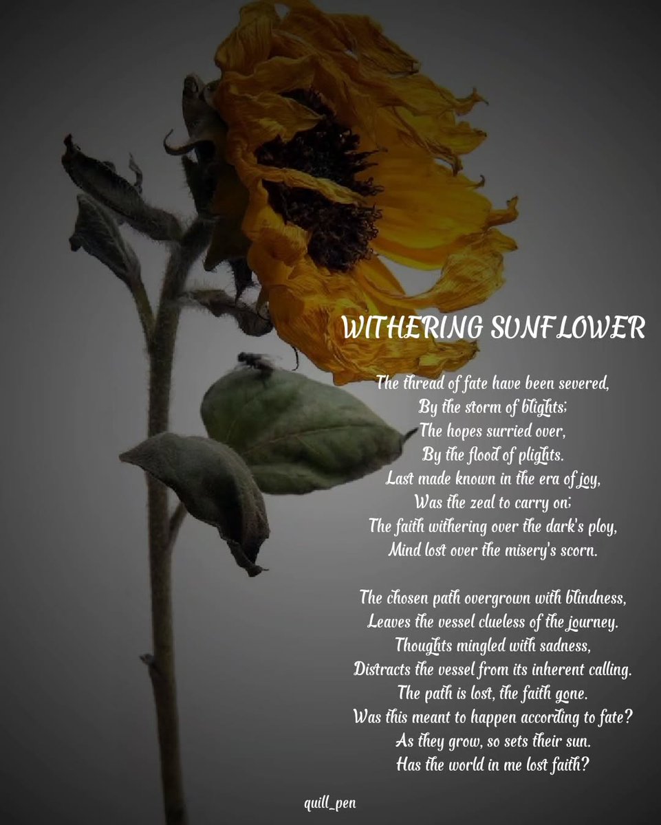 #PoetryLovers #WritersOfTwitter #SpokenWord #VerseOfTheDay #CreativeWriting #InstaPoets #PoeticSoul #LiteraryArt #WrittenWords #PoetryCommunity