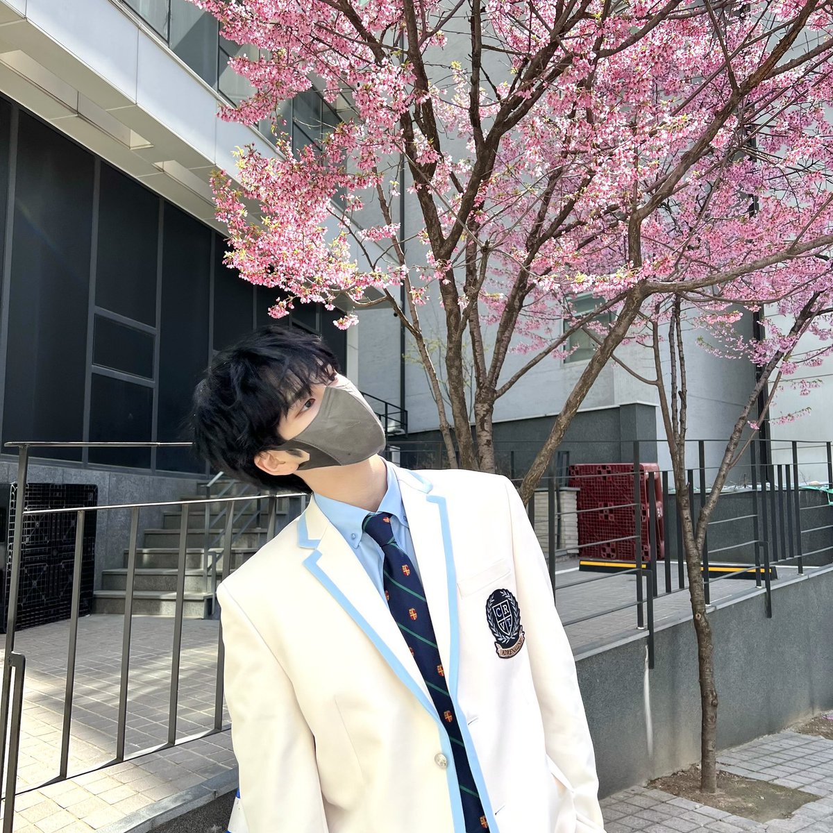 mogurimz's tweet image. serim with starship’s cherry blossoms 🌸