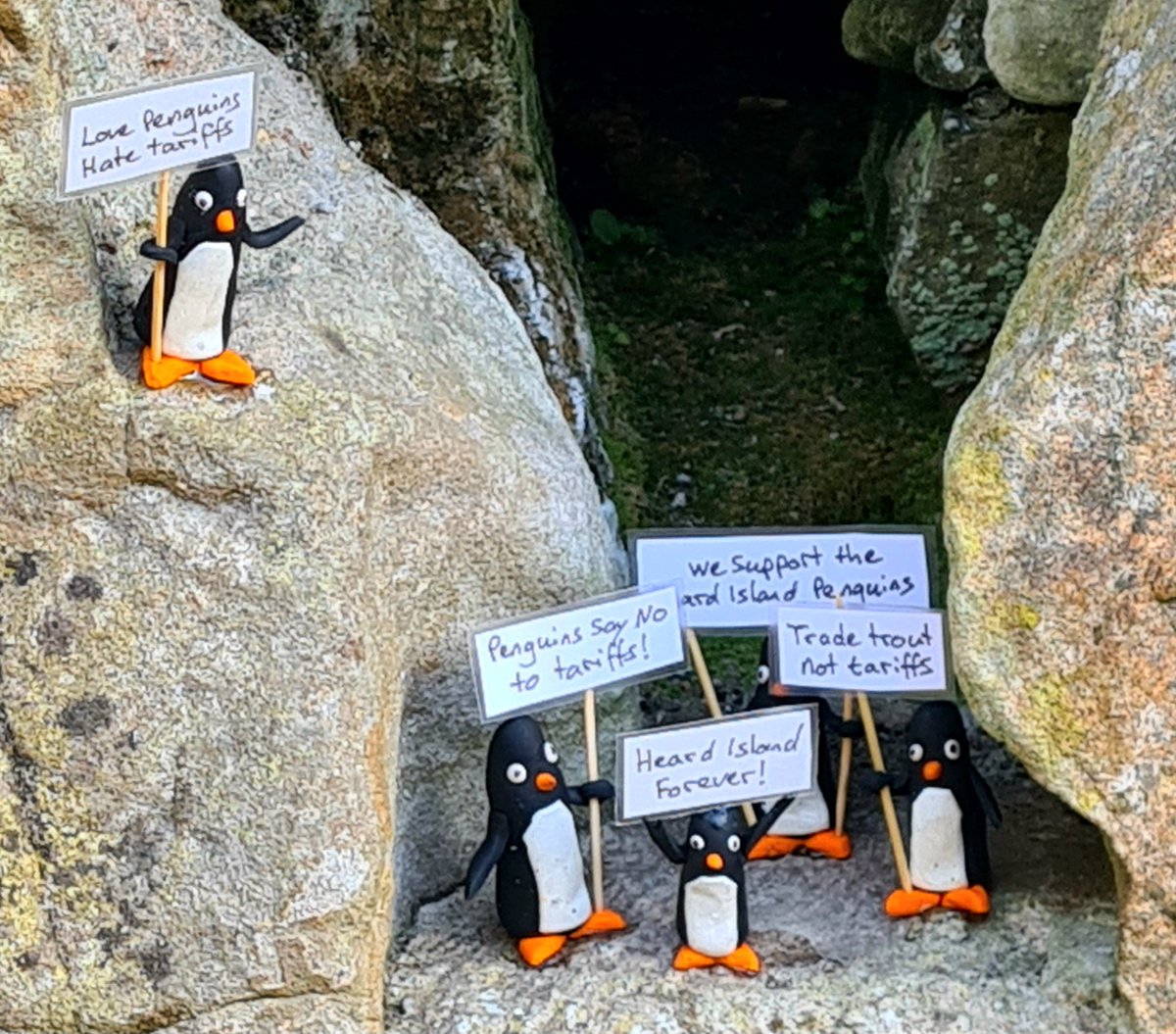 GlasgowPenguins's tweet image. We support the Heard Island Penguins!

#lovepenguinshatetarriffs #glasgow #penguin #streetart #troutnottariffs