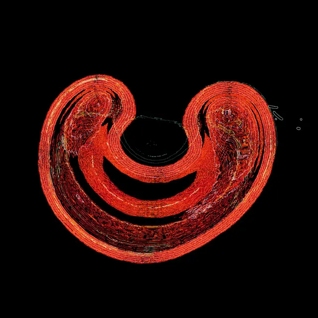 mikkel.tez tweet media