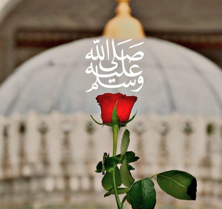 🤲
Ey Allah’ım!
Bizleri sevdiğin ve razı olduğun
işlerle muvaffak eyle...
Amin.
#HayırlıCumalar dilerim.🌹