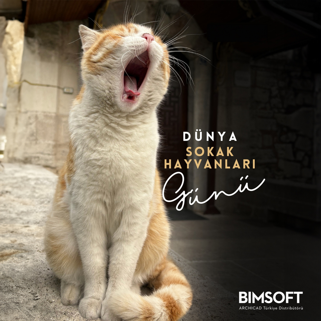 🐾 Bugün ve her gün sokaktaki dostlarımız için bir iyilik yap!

#bimsoft
