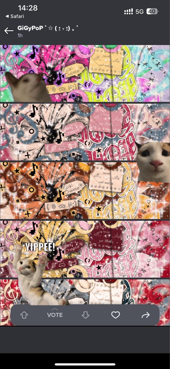 bou-mhi ૮ • ﻌ - ა. tweet media