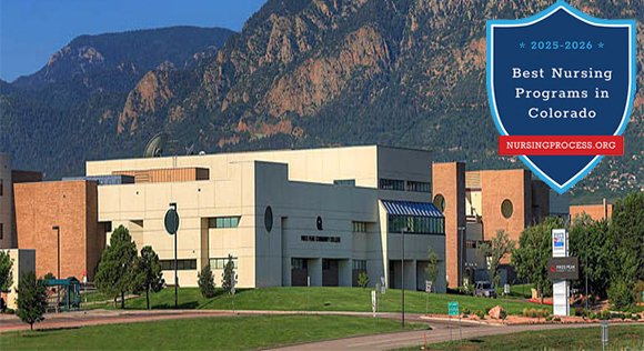 nursingprocess tweet media