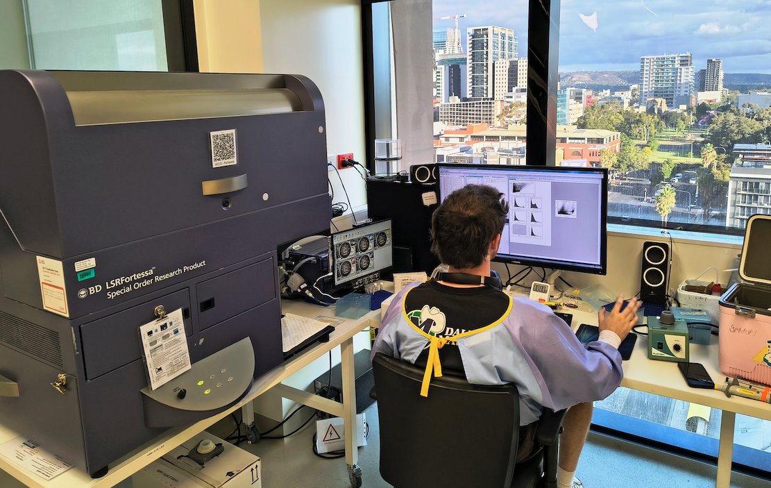 CCB Flow tweet media