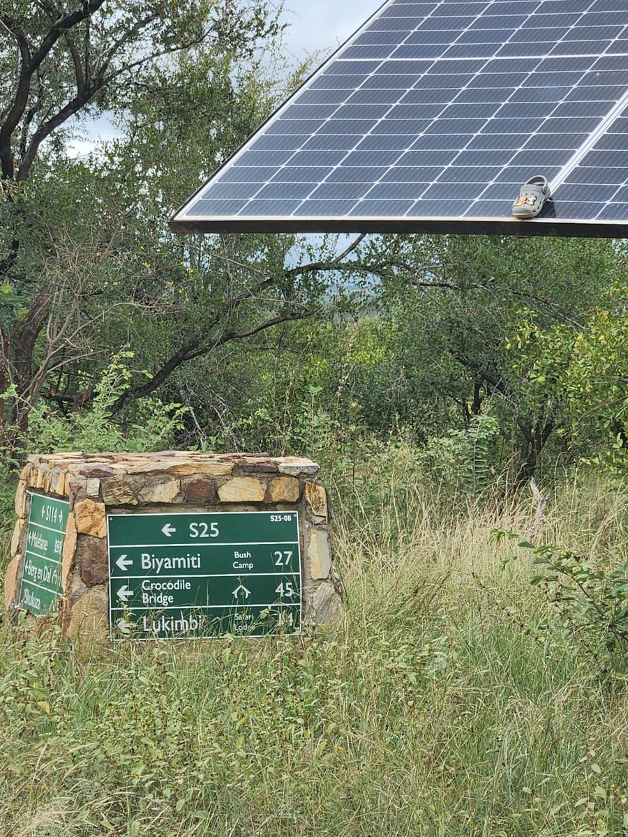 9:16am
1 Croc on Solar Panel
S114, at S25 junction
Near Malelane
5/5
Tinged by Die Delports