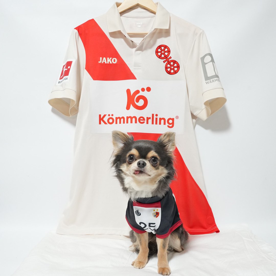 佐野海舟が着用したマインツの120周年記念ユニフォームが