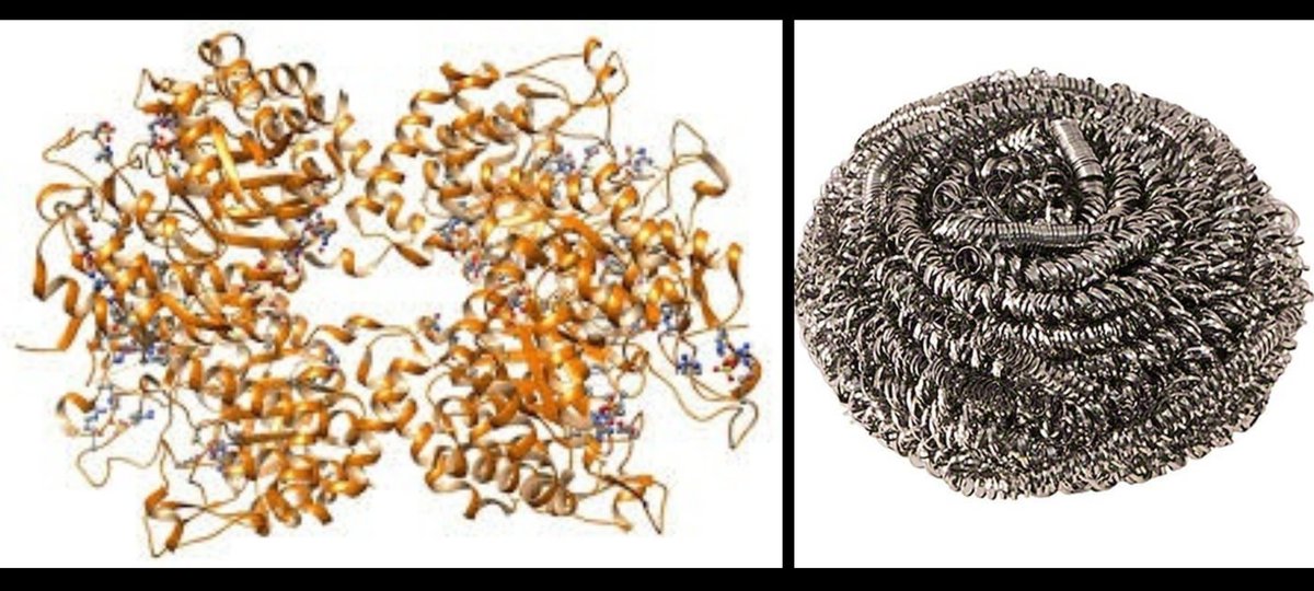 #AlphaFold #ProteinStructure vs metal sponge scrubber for dishes, find the difference :)