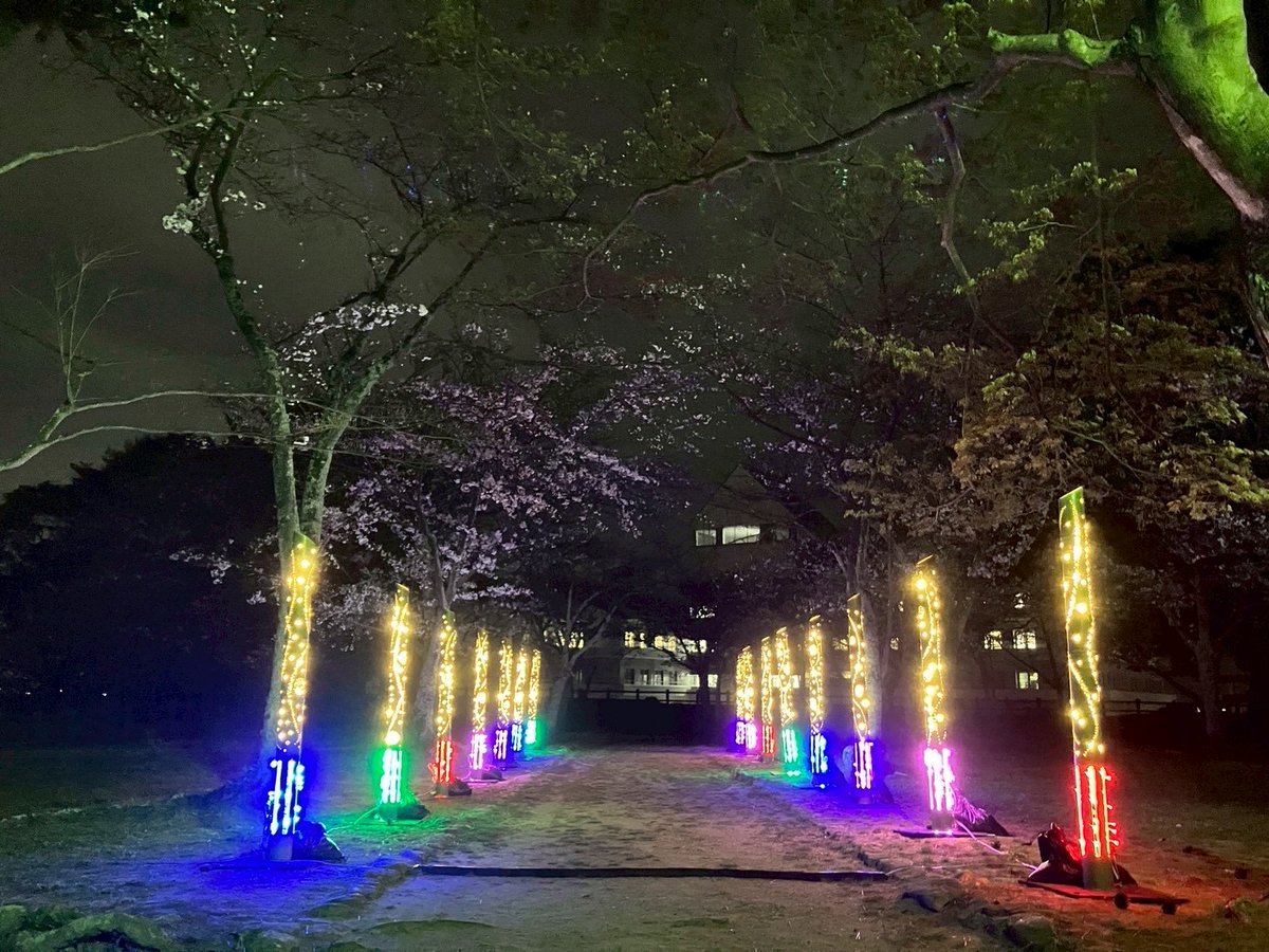 🌸松坂城跡桜ライトアップ🌸 装飾施工を担当しました🌸 場所：松坂城跡