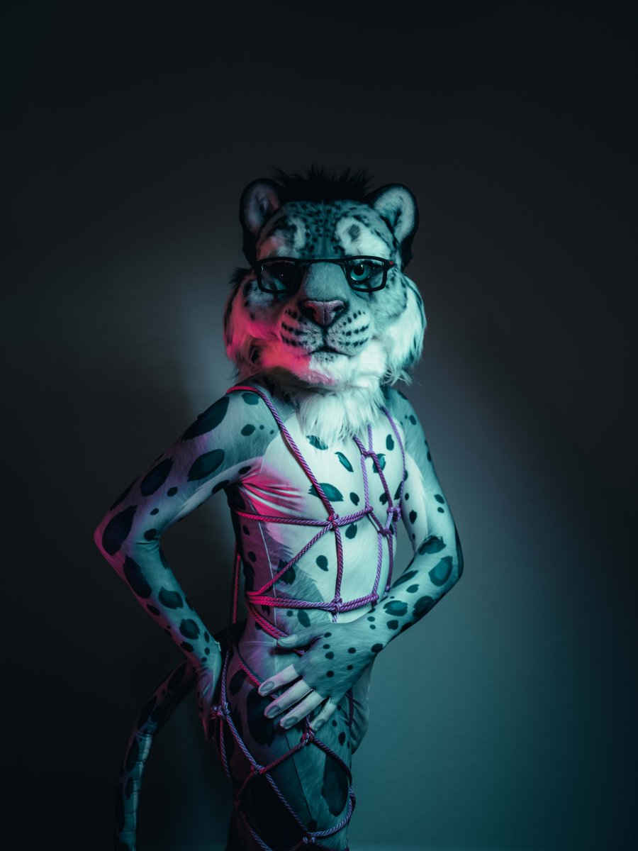 Uh oh, looks like I got caught and tied up in some rope on #FursuitFriday... now, are you going to rescue the snep, or take advantage of the situation?

🪡: <a href="/Beetlefursuits/">Beetlecat.bsky.social</a> / <a href="/forfunbangkok/">FORFUN</a> 
📸: <a href="/zenithfolf/">Zeni 🔜 AC, AFC, Infurnity</a>