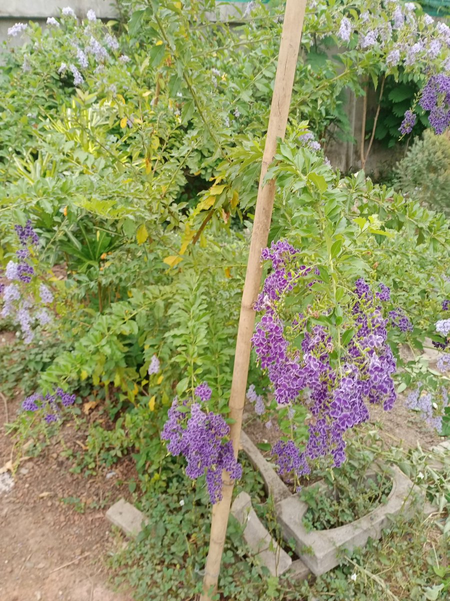 อยู่กับธรรมชาติและดอกไม้ เย็นกายเย็นใจ