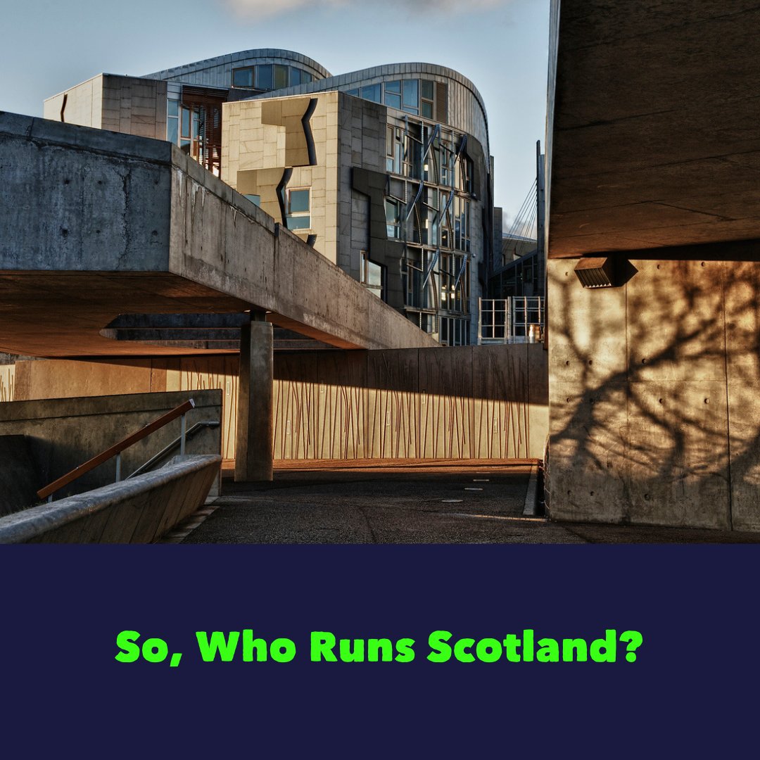 The Ferret tweet media