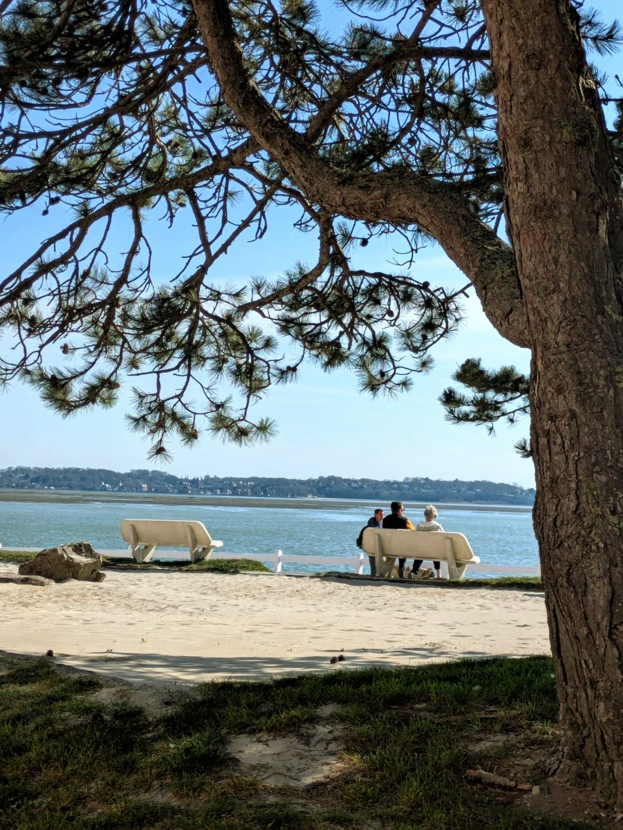 PipaMina80's tweet image. S'asseoir , regarder la Baie et ne jamais s'en lasser . 
La vie tranquille ... en Somme 💚.

#BaiedeSomme
#LeCrotoy
#Somme
#Picardie
#HautsdeFrance
#profiterdechaqueinstant 
#prendresontemps
#leschosessimples
#LavietranquilleenSomme💚