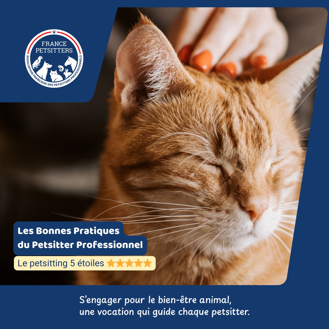 FrPetsitters's tweet photo. 💖 Toute l'équipe de l'association est heureuse de proposer dès aujourd'hui, gratuitement à l'ensemble des membres du réseau France #Petsitters, ce guide des "Bonnes Pratiques du Petsitter Professionnel, le petsitting 5 étoiles ⭐ ⭐ ⭐ ⭐ ⭐" !
🐾 https://t.co/1TPAmq81O3 https://t.co/CNuXa9XOow
